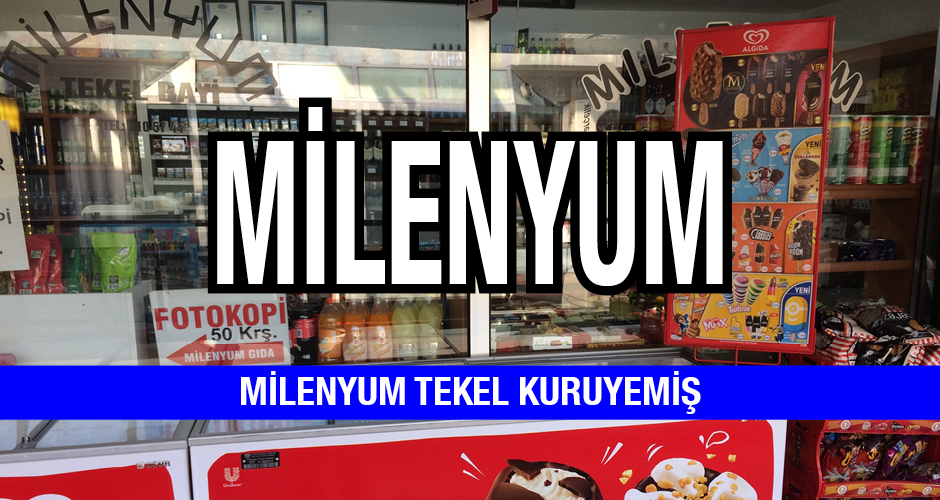 Milenyum Tekel Kuruyemiş