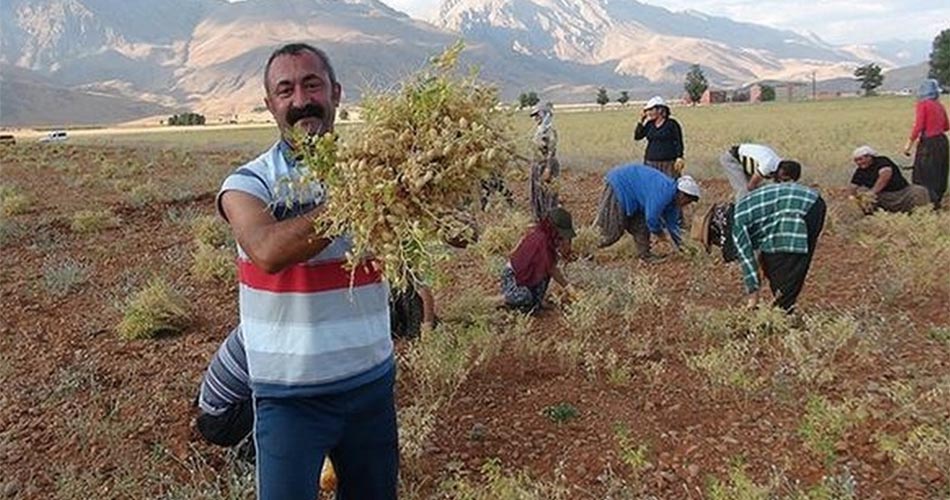 Ovacık Ürünleri