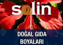 Solin Doğal Gıda Boyaları