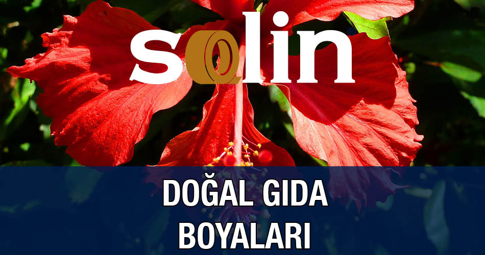 Solin Doğal Gıda Boyaları