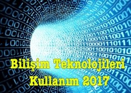 Bilişim Teknolojileri Kullanım Araştırması 2017