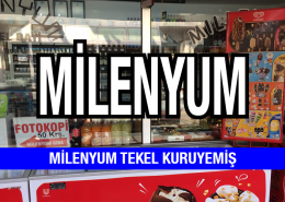 Milenyum Tekel Bayii Kuruyemiş