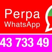 Perpa WhatsApp