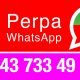 Perpa WhatsApp