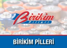 Birikim Pilleri