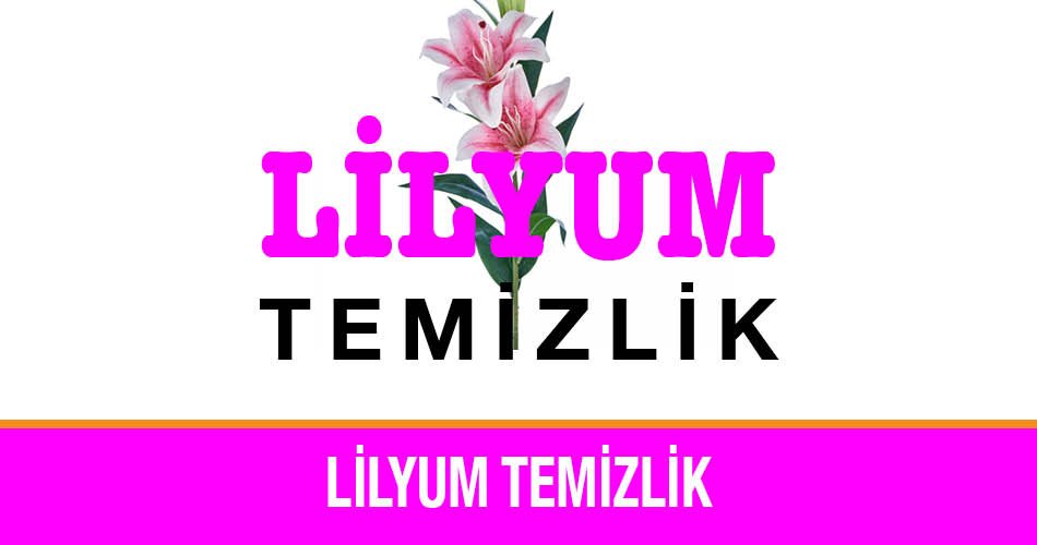 Lilyum Temizlik Ofis Temizliği Büro Temizliği