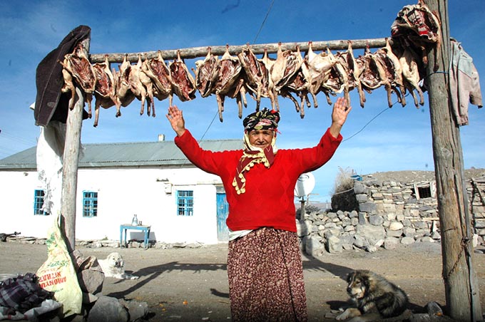 Kars Kazları Kurutuluyor