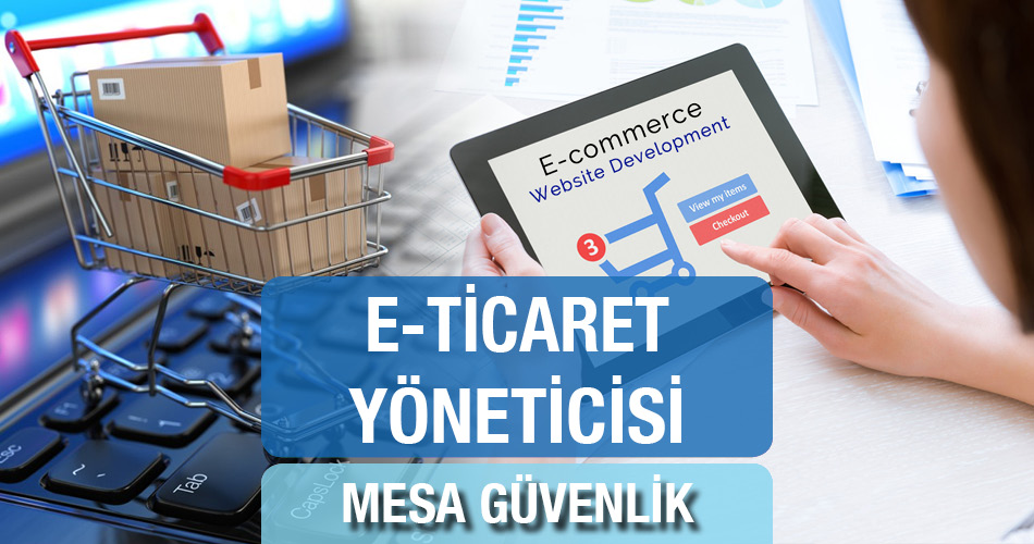 E-Ticaret Yöneticisi