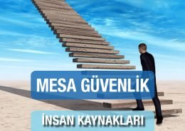 Mesa İnsan Kaynakları