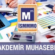 Akdemir Muhasebe Hasan Akdemir & Duygu Akdemir Ortaklığı