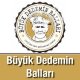 Büyük Dedemin Balları