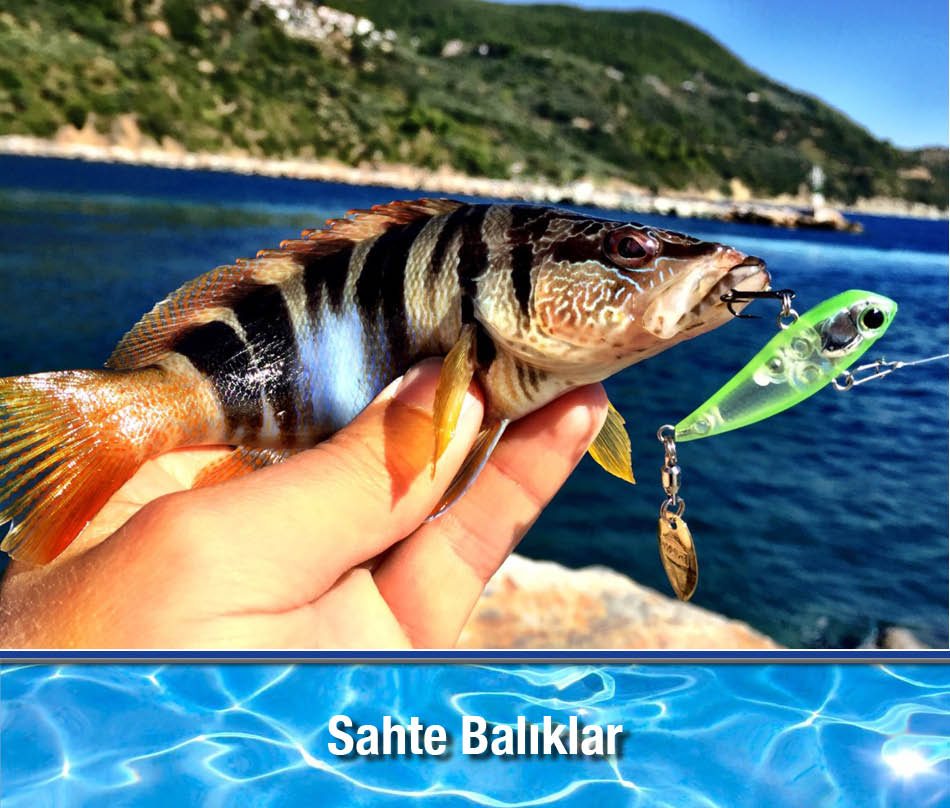 Sahte Balık Çeşitleri Suni Yemler