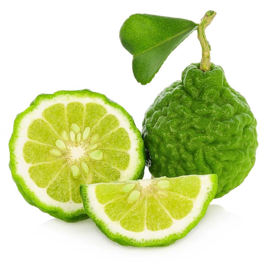 Bergamot Kokusu