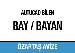 AutoCAd Bilen Bay Bayan