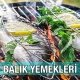 Balık Yemekleri Alazade