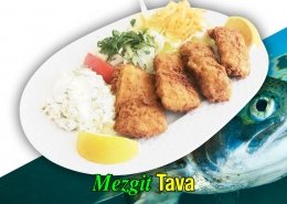 Alazade Mezgit Tava