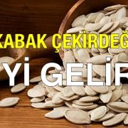 Çerzci Cafer Kabak Çekirdeği İyi Gelir