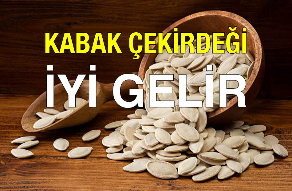 Çerezci Cafer Kabak Çekirdeği İyi Gelir