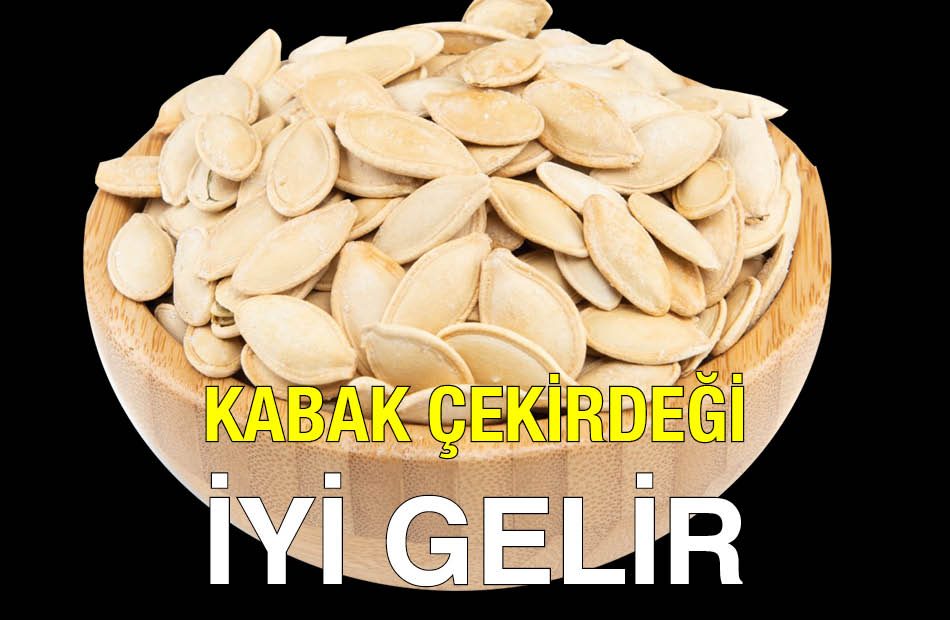 Çerezci Cafer Kabak Çekirdeği İyi Gelir