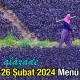 Alazade 26 Şubat 2024 Menü